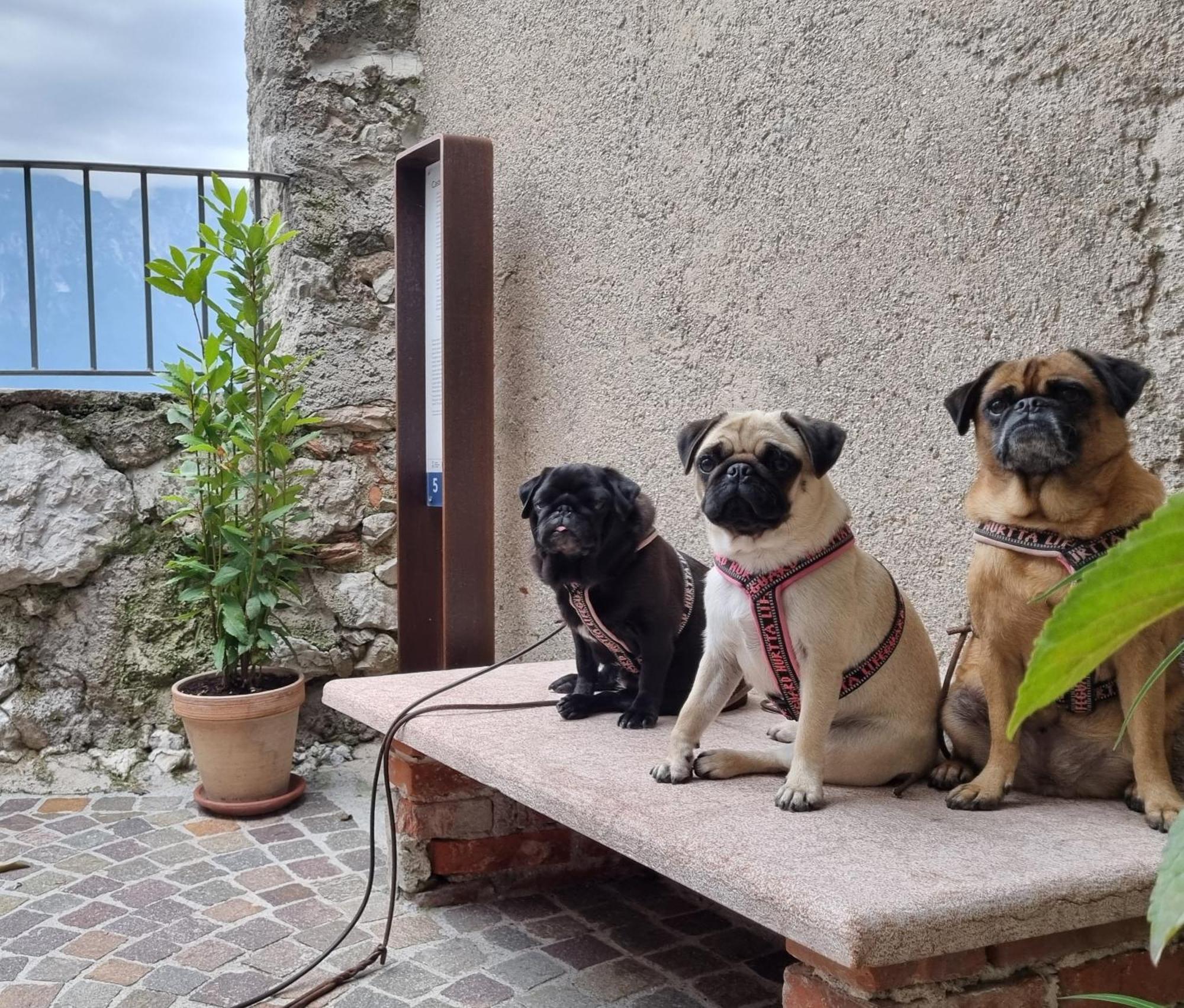Locanda Al Castelletto Tremosine Zewnętrze zdjęcie